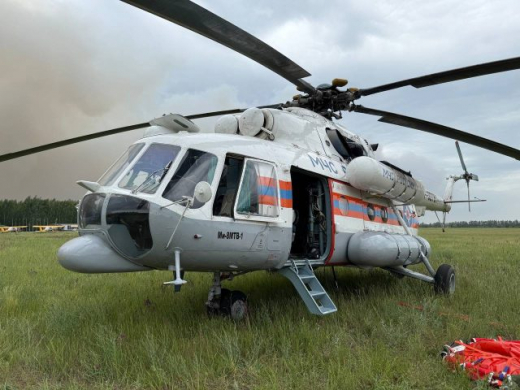Масштабный пожар в Воронежском заповеднике тушит авиация