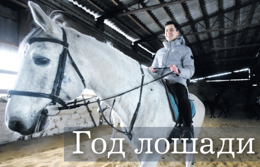 На заводе, в полици и в клубе: где работают и как живут воронежские кони