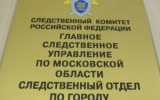 Жительнице Ивантеевки предъявлено обвинение в убийстве новорожденного ребенка