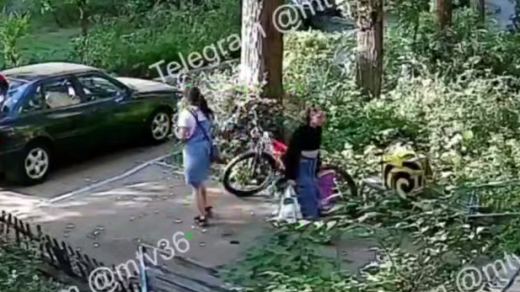 Кусок крыши обрушился на девочку около дома в Воронеже