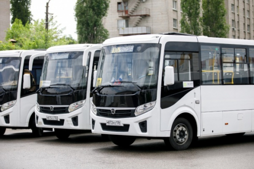 В Воронеже у семи маршрутов общественного транспорта изменятся порядковые номера