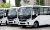 В Воронеже у семи маршрутов общественного транспорта изменятся порядковые номера