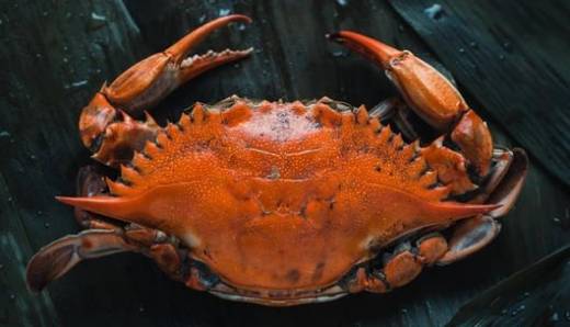 Россия поставила в Китай рыбы и морепродуктов на 2,4 млрд долларов