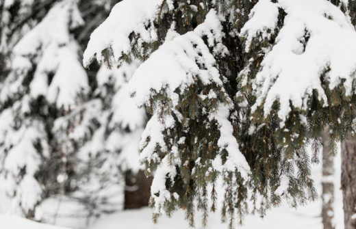 Мощный снегопад надвигается на Воронежскую область