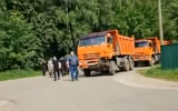 Жители Королева подрались с рабочими из-за стройки дороги в нацпарке «Лосиный остров»