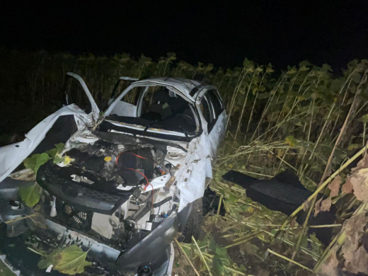Водитель легковушки не справился с управлением и погиб на трассе под Воронежем