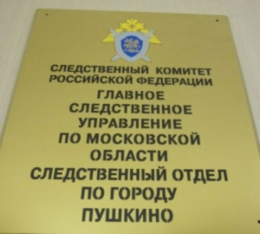 В Пушкино завершено расследование уголовного дела об умышленном причинении тяжкого вреда здоровью, повлекшем смерть мужчины