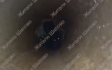 В воронежском микрорайоне Шилово спасли двух застрявших в трубе котят