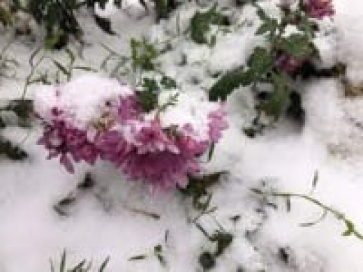 Дожди, мокрый снег и ветер – погода в Крыму на три дня