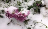 Дожди, мокрый снег и ветер – погода в Крыму на три дня
