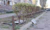 Опубликовано видео устранения последствий массированной атаки на Воронеже