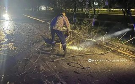 В Белгороде устранили последствия сильного ветра на шести улицах