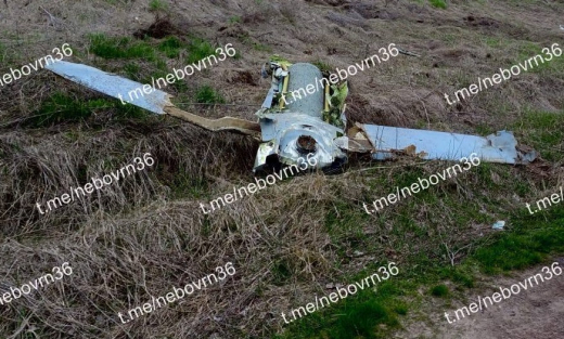 Беспилотник самолетного типа сбили в Воронежской области