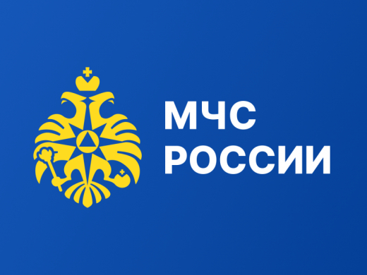 МЧС России определены основные задачи предстоящих учений «Безопасная Арктика»