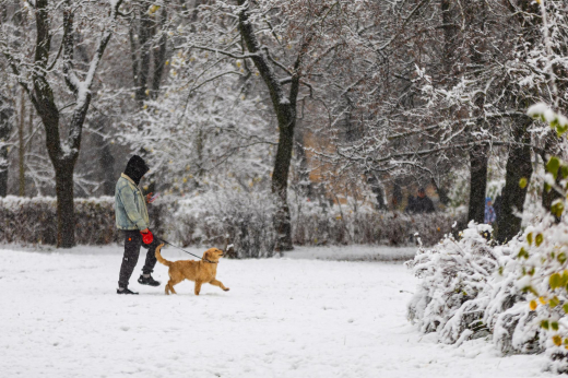 Синоптик Позднякова: Снежный покров сформируется в Москве в среду