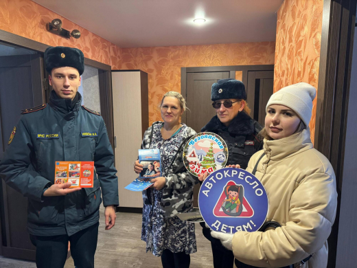 Межведомственные противопожарные рейды продолжаются в Раменском муниципальном округе