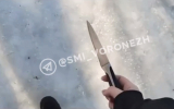 Видео с ножом и угрозы учителю: новые данные о вооруженной школьнице в Воронеже