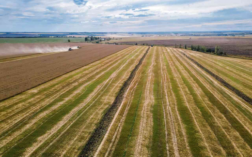 ГК «Продимекс» подвела итоги работы в уходящем сезоне в Воронежской области