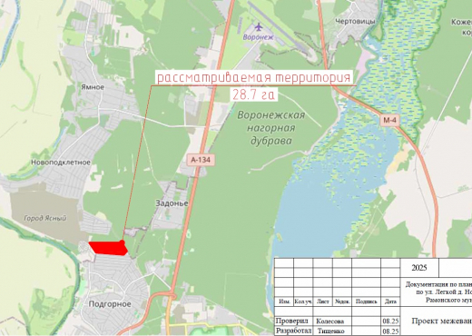 Строительство «города» в деревне под Воронежем возмутило местных жителей