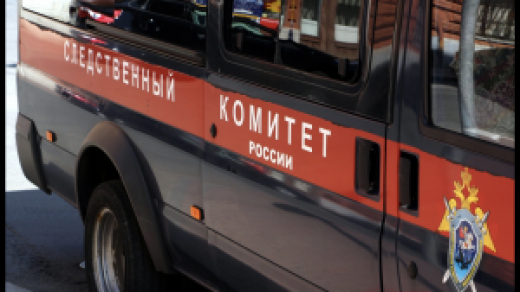Следователем СК в рамках расследования уголовного дела устанавливаются обстоятельства нападения бродячих собак на подростка в Левобережном районе города Воронежа