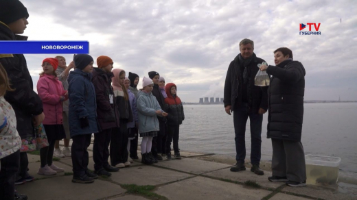 6 тонн мальков помогут улучшить работу энергоблока Нововоронежской АЭС