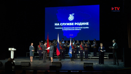 С начала года воронежские налоговики пополнили областную казну на 166 млрд рублей