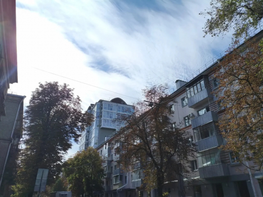 Синоптики обещают потепление до +22 градусов в Воронежской области
