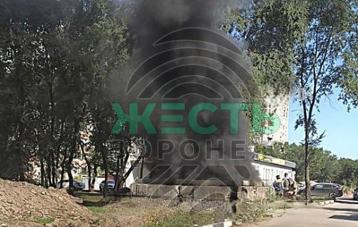 Спасатели объяснили происхождение чёрного дыма на левом берегу Воронежа