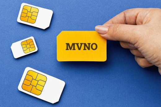 Как провели 2024 г. MVNO