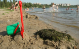 Воронежцев начнут штрафовать за купание в запрещённых местах
