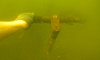 Таинственное дно Воронежского водохранилища показали дайверы