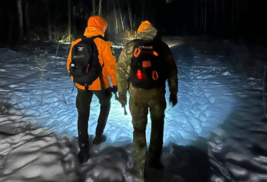 Трёх пропавших без вести нашли мёртвыми в Воронежской области