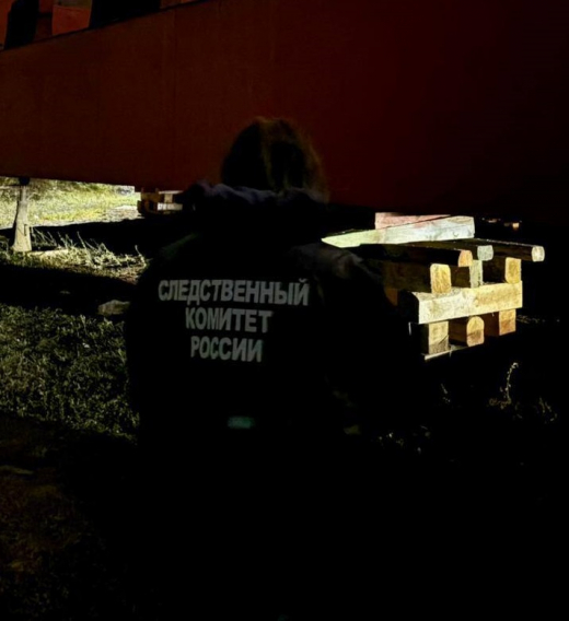 Таинственная смерть двух мужчин в Лискинском порту заинтересовала воронежских следователей