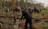 Под Воронежем на месте выгоревшего леса высадили 20 тысяч сосен