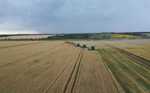 ГК «Агроэко» расширила земельный банк в 2025 году на 22% под развитие растениеводства и инвестпроекты