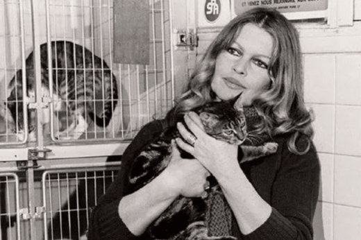 Умерла Брижит Бардо, которая писала письма воронежским властям