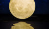 Воронежцы увидят огромную Луну 3 января