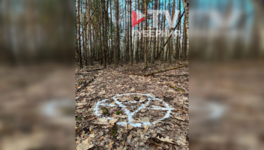 Следы «магического» ритуала обнаружили в воронежском лесу