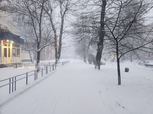 Прогноз погоды в Воронеже на среду, 31 декабря