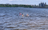 Воронежцы открыли купальный сезон в парке «Дельфин» (ФОТО)