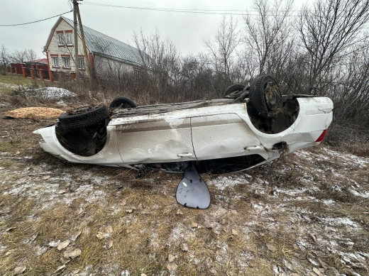 Водитель погиб в перевернувшейся машине на трассе в Воронежской области