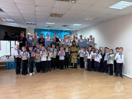 Правила безопасности в новогодние праздники разъясняют школьникам Серпуховского округа