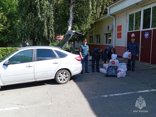 Вклад в чистое будущее: в Коминтерновском районе сдали мукулатуру на переработку