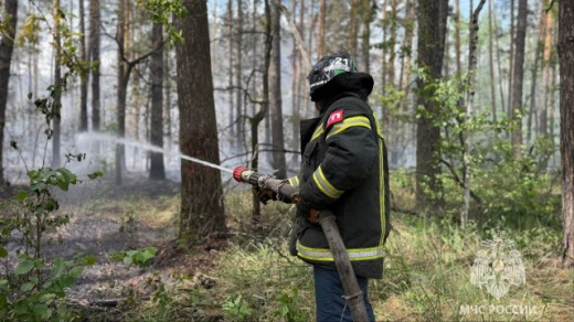 Масштабный пожар в Воронежском заповеднике продолжают тушить