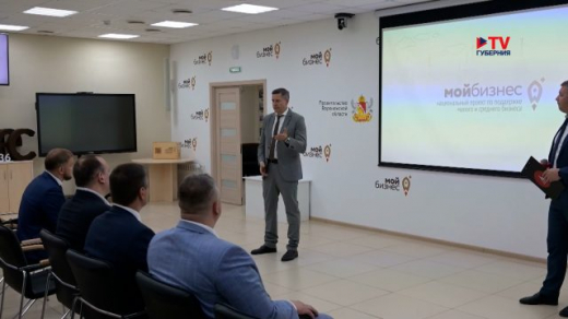 Воронежский бизнес вкладывает миллиардные инвестиции в экономику ЛНР