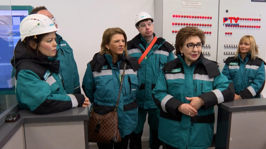 Уникальный сорт тополя «Воронежской гигант» вывели в питомнике лесотехнического университета