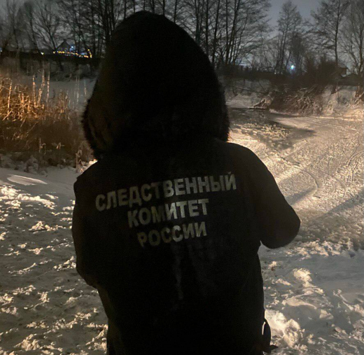 Стали известны подробности трагедии с провалившимися под лёд детьми под Воронежем