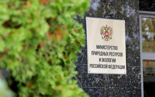 Ольга Латонова возглавила департамент водных ресурсов Минприроды России