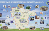 «Молвест» расширяет профориентацию школьников в Воронеже
