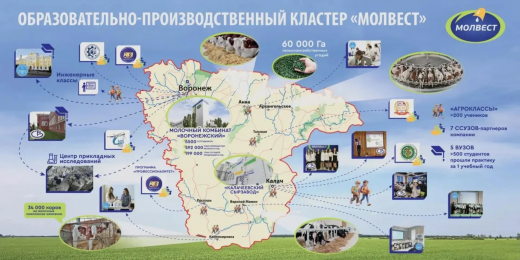«Молвест» расширяет профориентацию школьников в Воронеже